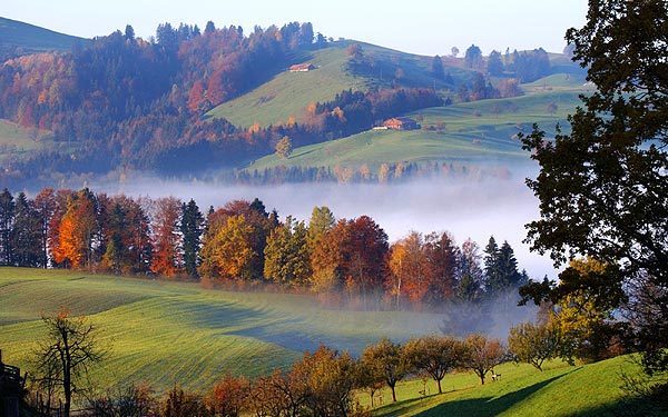 網(wǎng)站內(nèi)容測試，請及時(shí)刪除！